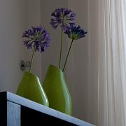 dinning_room_living_room-14